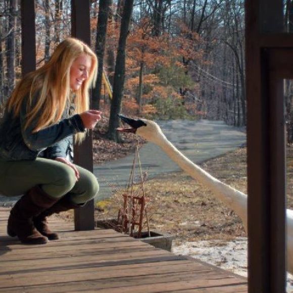 Meet your Posher, Emily - Picture 1 of 1